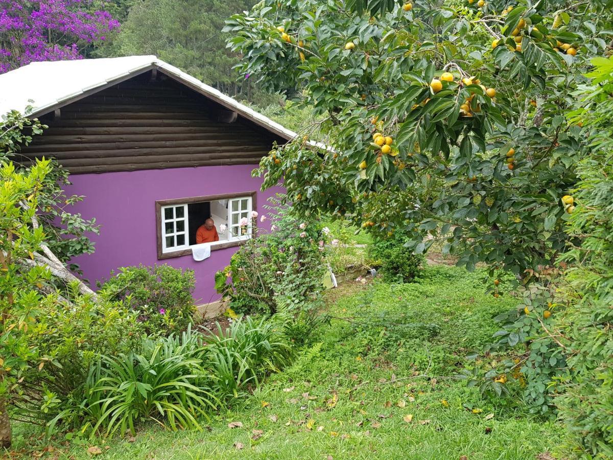 Villa Vale Das Maritacas Teresópolis Exterior foto