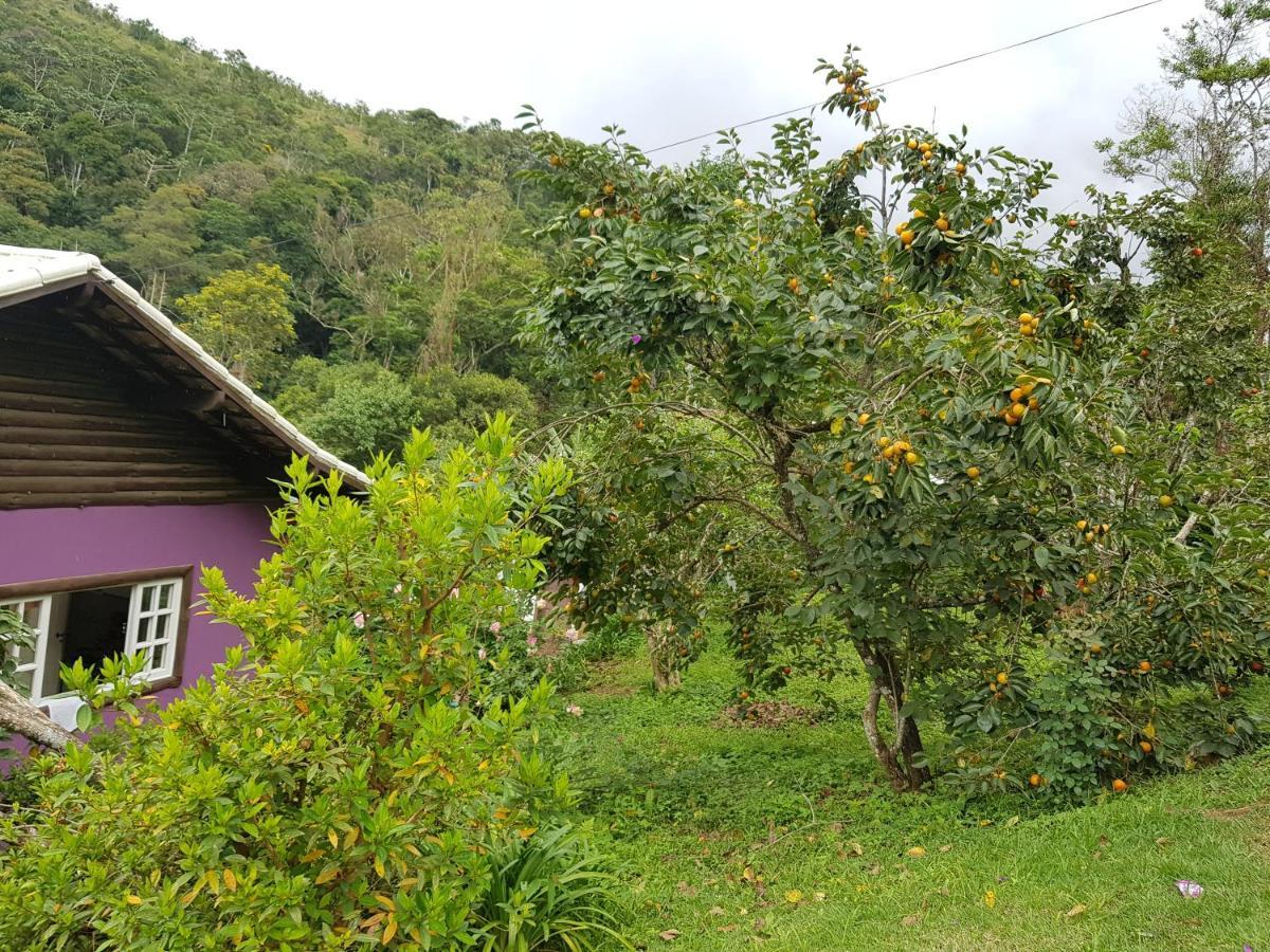 Villa Vale Das Maritacas Teresópolis Exterior foto